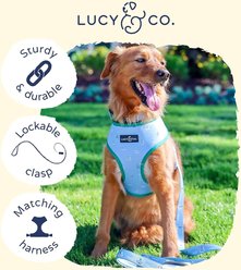 Lucy & Co. The Set Sail Dog Leash, Blue, Large:5-ft long, 1-in wide slide 2 of 4