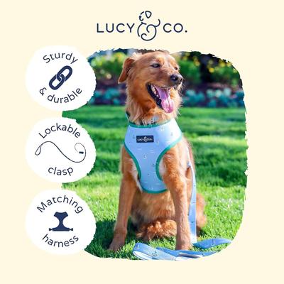 Show full view: Lucy & Co. The Set Sail Dog Leash, Blue, Large:5-ft long, 1-in wide slide 3 of 4