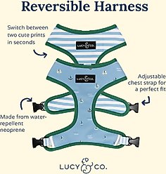 Lucy & Co. The Set Sail Reversible Dog Harness, Blue, Large: 20 to 28-in chest slide 2 of 6