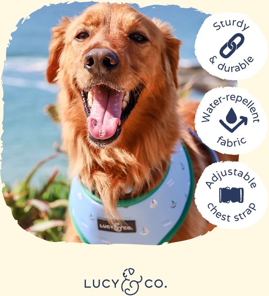Lucy & Co. The Set Sail Dog Bandana, Blue