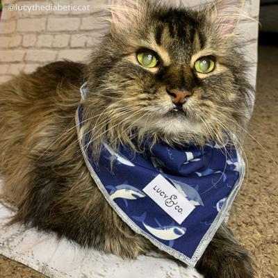 Show full view: Lucy & Co. The Shark Attack Dog Bandana, Blue, Large slide 2 of 6