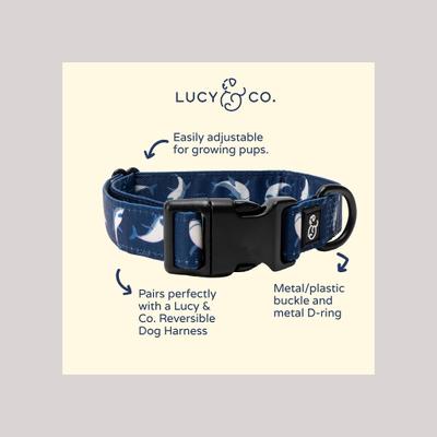 Show full view: Lucy & Co. The Shark Attack Polyester Dog Collar, Blue, Large: 16 to 26-in neck, 1.5-in wide slide 2 of 4
