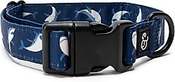 Lucy & Co. The Shark Attack Polyester Dog Collar, Blue, Medium: 13 to 20-in neck, 1-in wide
