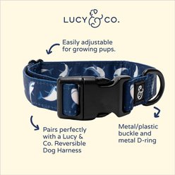 Lucy & Co. The Shark Attack Polyester Dog Collar, Blue, Medium: 13 to 20-in neck, 1-in wide slide 2 of 4