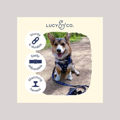 Show full view: Lucy & Co. The Shark Attack Polyester Dog Collar, Blue, Medium: 13 to 20-in neck, 1-in wide slide 3 of 4