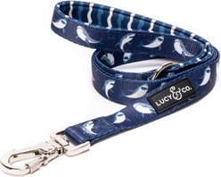 Lucy & Co. The Shark Attack Polyester Padded Handle Dog Leash, Blue, Large: 5-ft long, 1-in wide