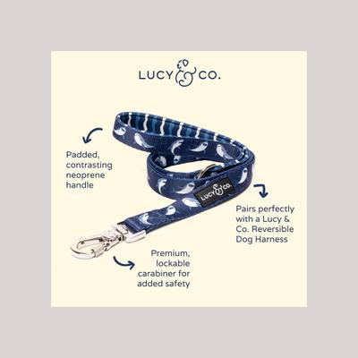 Show full view: Lucy & Co. The Shark Attack Polyester Padded Handle Dog Leash, Blue, Large: 5-ft long, 1-in wide slide 2 of 4