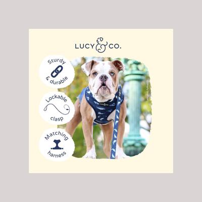 Show full view: Lucy & Co. The Shark Attack Polyester Padded Handle Dog Leash, Blue, Large: 5-ft long, 1-in wide slide 3 of 4