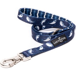 Lucy & Co. The Shark Attack Polyester Padded Handle Dog Leash, Blue, Small: 5-ft long, 0.6-in wide