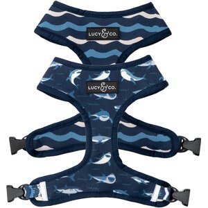 Lucy & Co. The Shark Attack Reversible Dog Harness, Blue, Large: 20 to 28-in chest