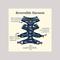 Show in main carousel: Lucy & Co. The Shark Attack Reversible Dog Harness, Blue, Large: 20 to 28-in chest slide 2 of 8