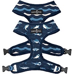 Lucy & Co. The Shark Attack Reversible Dog Harness, Blue, Medium: 17 to 23-in chest