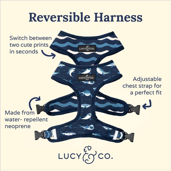 Lucy & Co. The Shark Attack Reversible Dog Harness, Blue