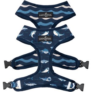 Lucy & Co. The Shark Attack Reversible Dog Harness, Blue, Small: 14 to 18-in chest