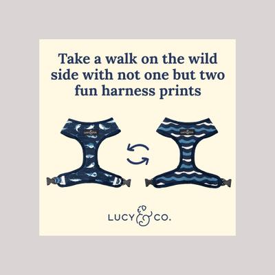 Show full view: Lucy & Co. The Shark Attack Reversible Dog Harness, Blue, Small: 14 to 18-in chest slide 3 of 8