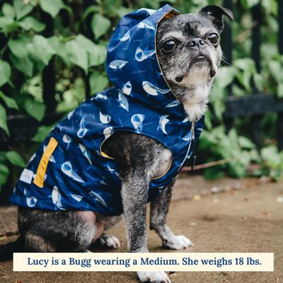 Show full view: Lucy & Co. The Shark Attack Reversible Waterproof Dog Raincoat, Blue/Yellow, XX-Large slide 2 of 8