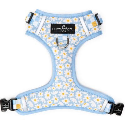 Lucy & Co. Lucy & Co. The Simply Splendid No-Pull Dog Harness, Blue, Large: 20 to 28-in chest