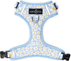 Lucy & Co. The Simply Splendid No-Pull Dog Harness, Blue, Medium: 17 to 23-in chest