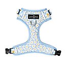 Lucy & Co. The Simply Splendid No-Pull Dog Harness, Blue, Small: 14 to 18-in chest