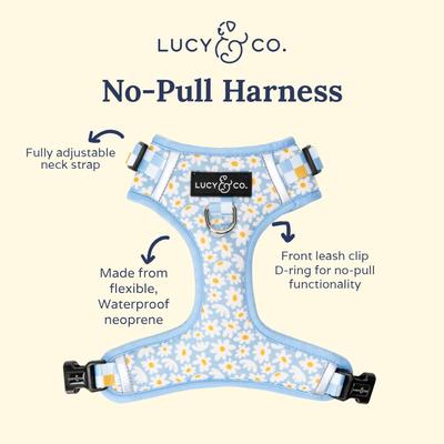 Show full view: Lucy & Co. The Simply Splendid No-Pull Dog Harness, Blue, Small: 14 to 18-in chest slide 4 of 7