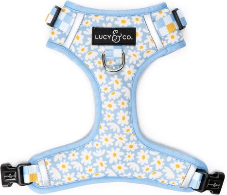 LUCY & CO. The Simply Splendid No-Pull Dog Harness, Blue, X-Large