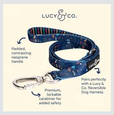 Show full view: Lucy & Co. The Space Doodle Dog Leash, Navy: Small, 5-ft long, 3/5-in wide slide 3 of 5