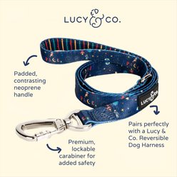 Lucy & Co. The Space Doodle Polyester Padded Handle Dog Leash, Navy, Large: 5-ft long, 1-in wide slide 2 of 4