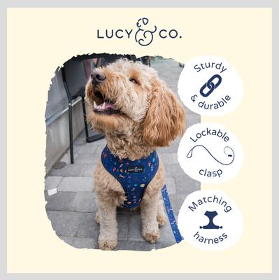 Show full view: Lucy & Co. The Space Doodle Polyester Padded Handle Dog Leash, Navy, Large: 5-ft long, 1-in wide slide 3 of 4
