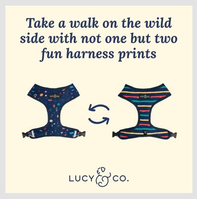 Show full view: Lucy & Co. The Space Doodle Reversible Dog Harness, Navy, Small: 14 to 18-in chest slide 3 of 8