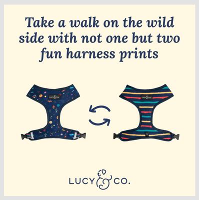 Show full view: Lucy & Co. The Space Doodle Reversible Dog Harness, Navy, X-Large: 23 to 32-in chest slide 3 of 8