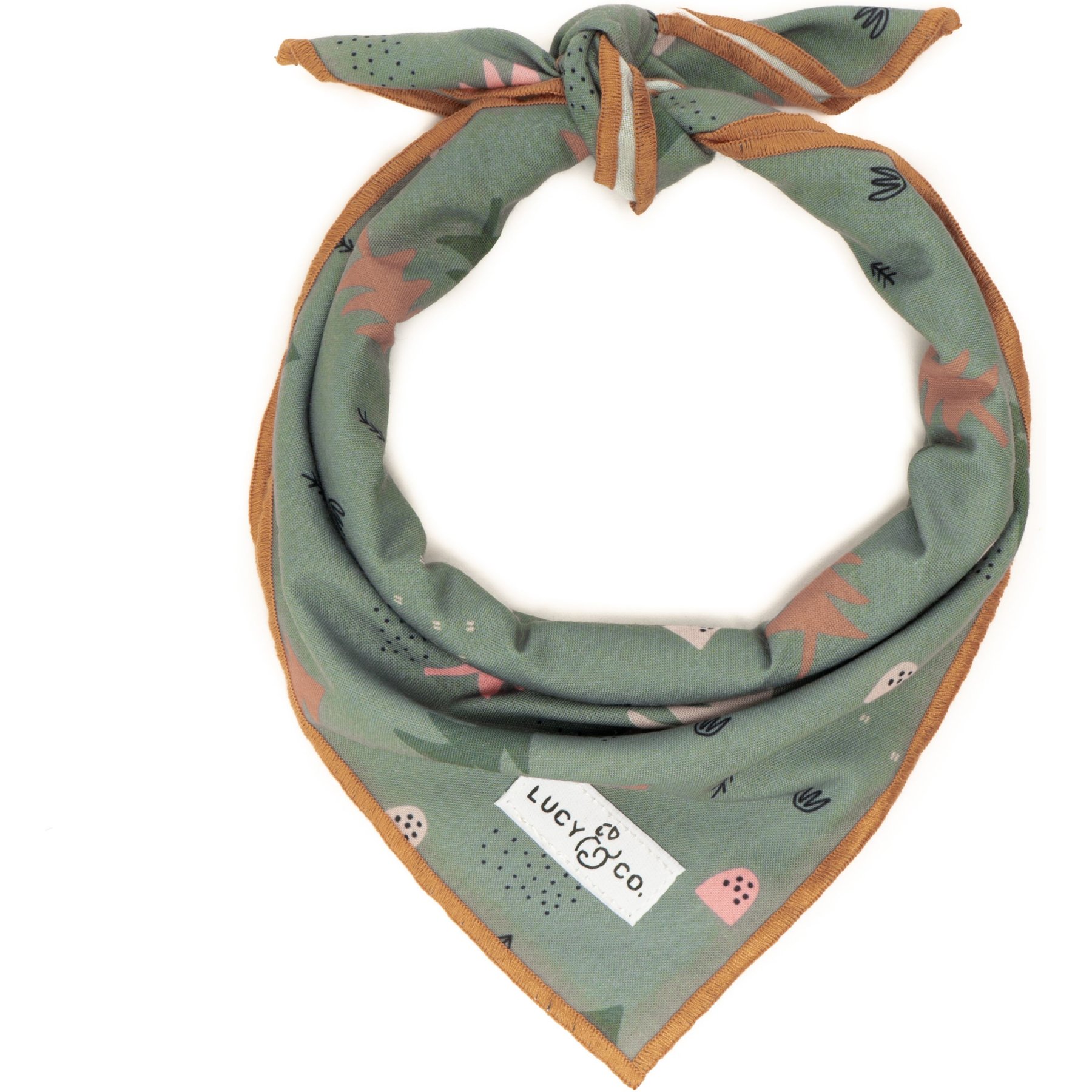 Lucy & Co. The Take a Hike Dog Bandana, Green, Large