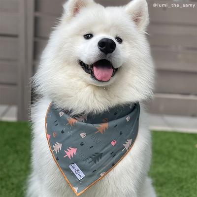 Show full view: Lucy & Co. The Take a Hike Dog Bandana, Green, Large slide 2 of 5
