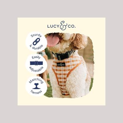 Show full view: Lucy & Co. The Take a Hike Polyester Dog Collar, Green, Large: 16 to 26-in neck, 1.5-in wide slide 3 of 4