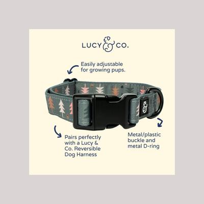 Show full view: Lucy & Co. The Take a Hike Polyester Dog Collar, Green, Medium: 13 to 20-in neck, 1-in wide slide 2 of 4