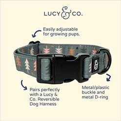 Lucy & Co. The Take a Hike Polyester Dog Collar, Green, Small: 8 to 14-in neck, 1/2-in wide slide 2 of 4