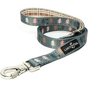 Lucy & Co. The Take a Hike Polyester Padded Handle Dog Leash, Green, Large: 5-ft long, 1-in wide