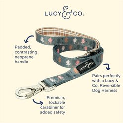 Lucy & Co. The Take a Hike Polyester Padded Handle Dog Leash, Green, Large: 5-ft long, 1-in wide slide 2 of 4