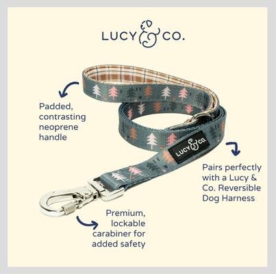 Show full view: Lucy & Co. The Take a Hike Polyester Padded Handle Dog Leash, Green, Large: 5-ft long, 1-in wide slide 2 of 4