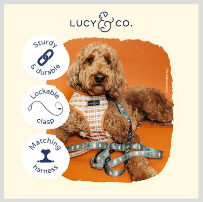 Show full view: Lucy & Co. The Take a Hike Polyester Padded Handle Dog Leash, Green, Large: 5-ft long, 1-in wide slide 3 of 4