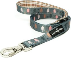 Lucy & Co. The Take a Hike Polyester Padded Handle Dog Leash, Green, Small: 5-ft long, 0.6-in wide