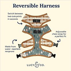 Lucy & Co. The Take a Hike Reversible Dog Harness, Green, Large: 20 to 28-in chest slide 2 of 6