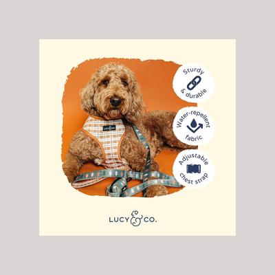 Show full view: Lucy & Co. The Take a Hike Reversible Dog Harness, Green, Large: 20 to 28-in chest slide 5 of 9