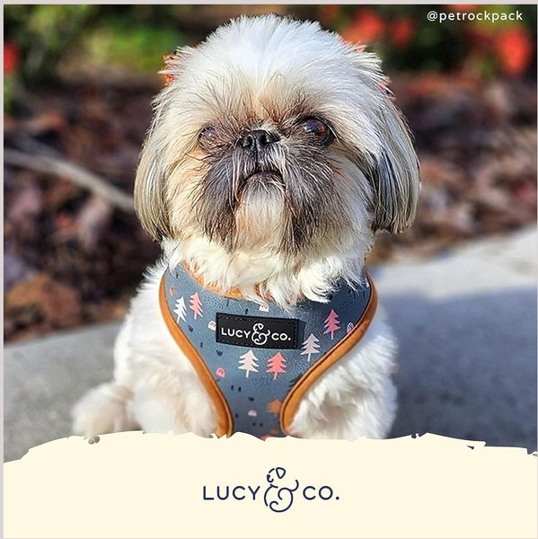 Lucy & Co. The Take a Hike Reversible Dog Harness, Green