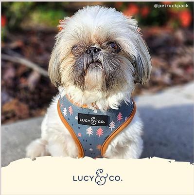 Show full view: Lucy & Co. The Take a Hike Reversible Dog Harness, Green, X-Small: 12 to 15-in chest slide 5 of 8