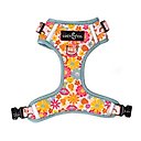 Lucy & Co. The Y2K Baby No-Pull Dog Harness, Pink, Small: 14 to 18-in chest