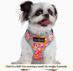 Lucy & Co. The Y2K Baby No-Pull Dog Harness, Pink, Small: 14 to 18-in chest slide 2 of 5
