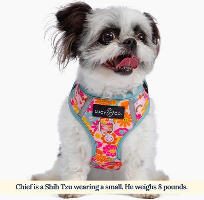 Show full view: Lucy & Co. The Y2K Baby No-Pull Dog Harness, Pink, X-Small: 12 to 15-in chest slide 2 of 6