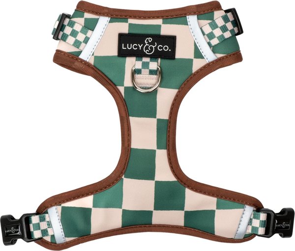 Lucy & Co. The You're a Square No-Pull Dog Harness, Green
