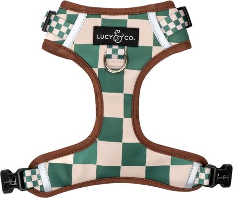 Lucy & Co. The You're a Square No-Pull Dog Harness, Green