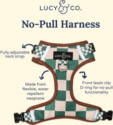 Lucy & Co. The You're a Square No-Pull Dog Harness, Green, X-Small: 12 to 15-in chest slide 2 of 5